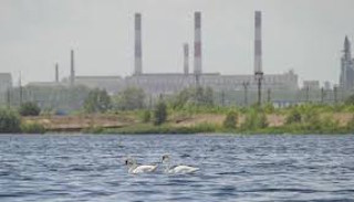 Расчет платы за негативное воздействие на окружающую среду от 20226 руб. | ПромМир-Рбц