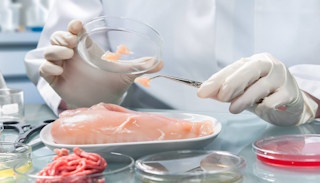 Лабораторный анализ пищевых продуктов по СанПиН в Рубцовске – стоимость от 15170 руб. в ПромМир-Рбц