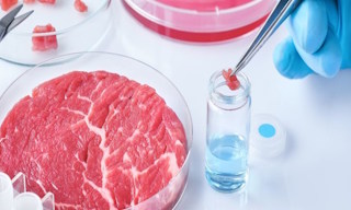 Лабораторный анализ пищевых продуктов по СанПиН в Рубцовске в октябре