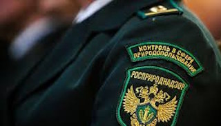 Подготовка к проверке Росприроднадзора в Рубцовске от ПромМир-Рбц, стоимость услуги от 20226 руб.